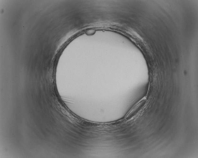 X0000066081216200604071723