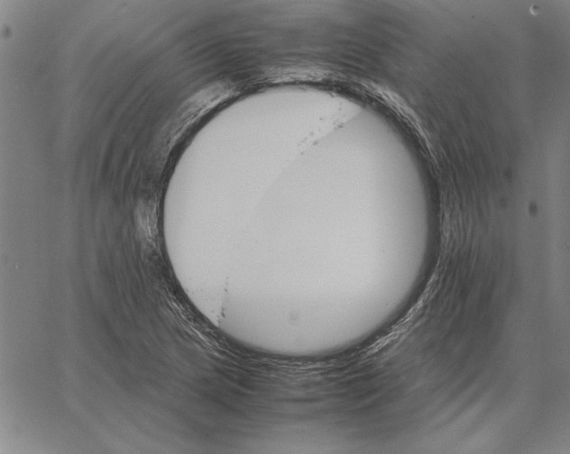 X0000066081217200604071723