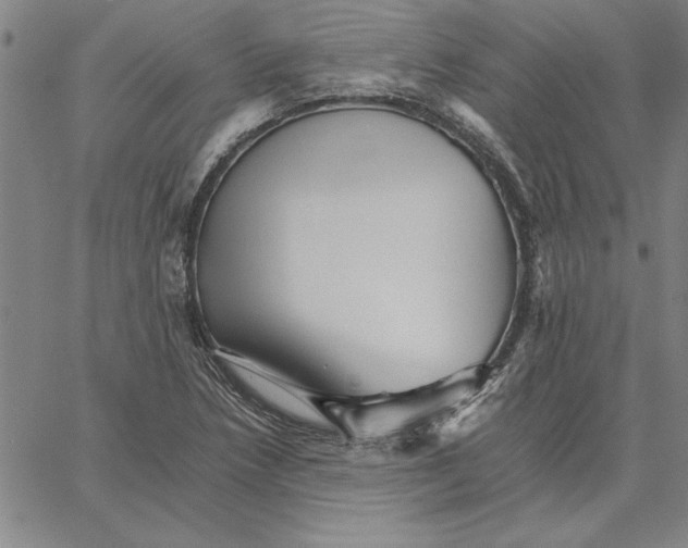 X0000066081218200604071723