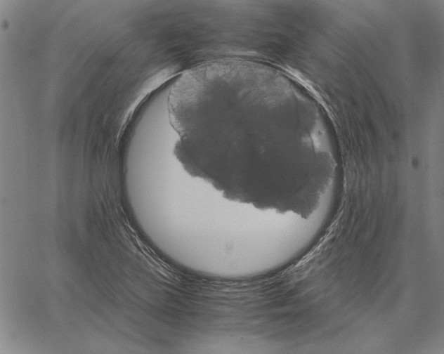 X0000066081219200604071723