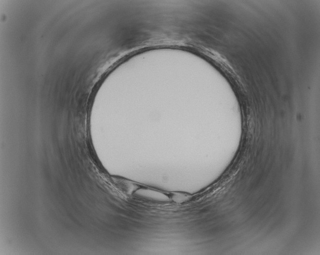 X0000066081220200604071723