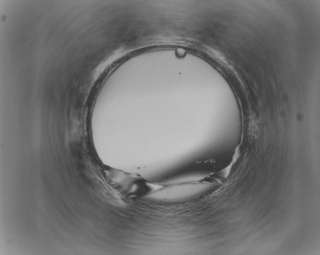 X0000066081222200604071723