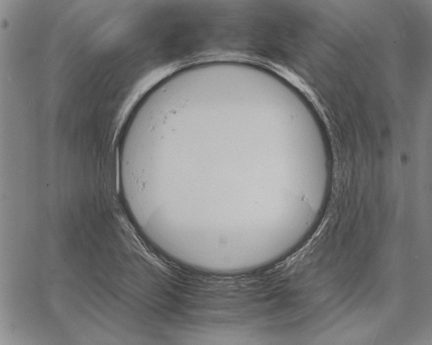 X0000066081223200604071723