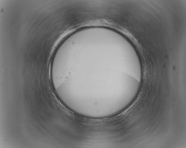 X0000066081224200604071723