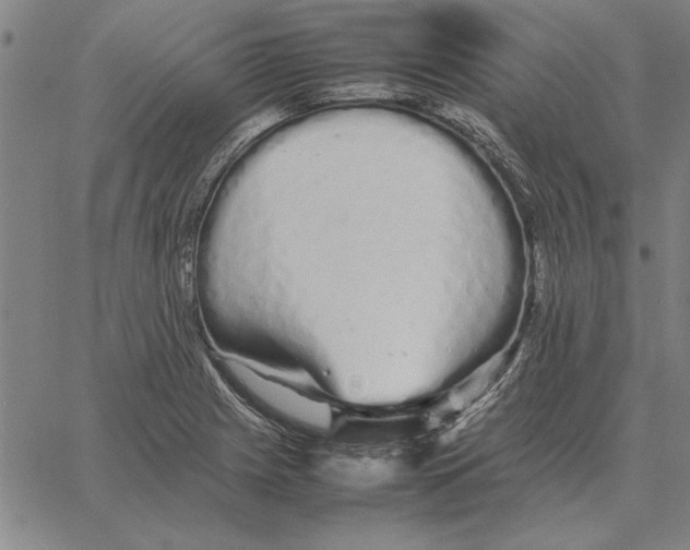 X0000066081225200604071723