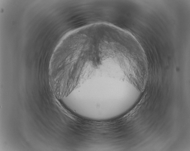 X0000066081227200604071723