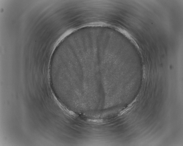 X0000066081229200604071723