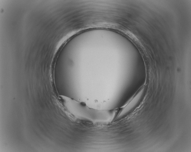 X0000066081230200604071724