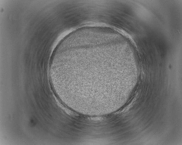 X0000066081231200604071724