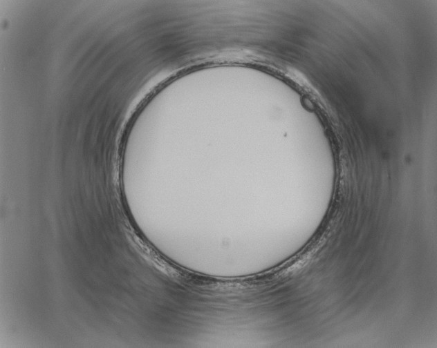 X0000066081232200604071724