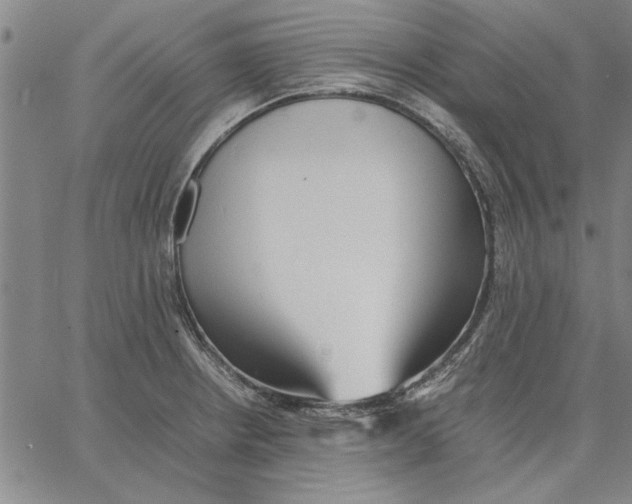 X0000066081234200604071724