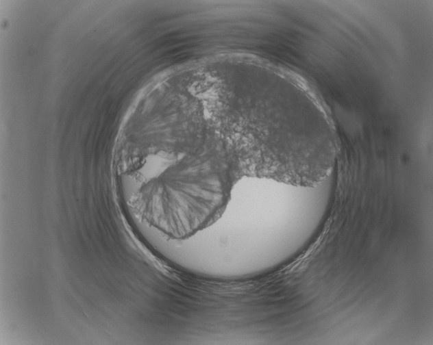 X0000066081235200604071724