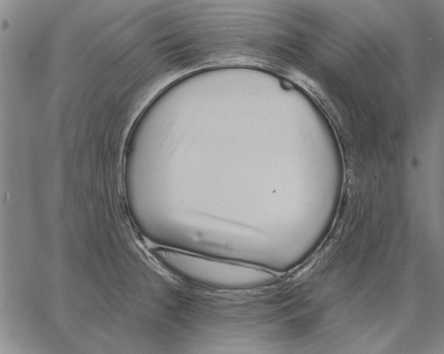 X0000066081236200604071724