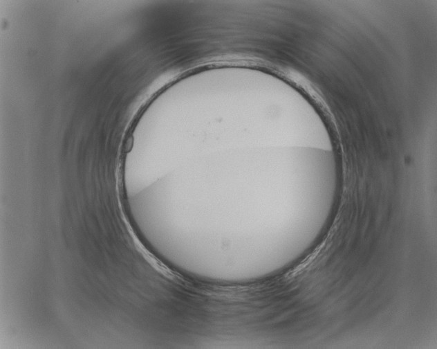 X0000066081237200604071724