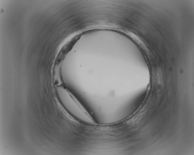 X0000066081238200604071724