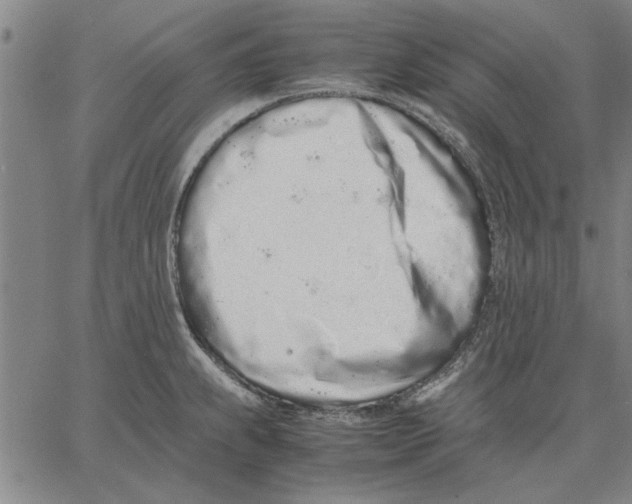 X0000066081239200604071724