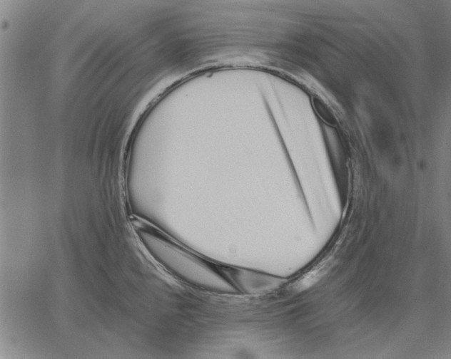 X0000066081240200604071724