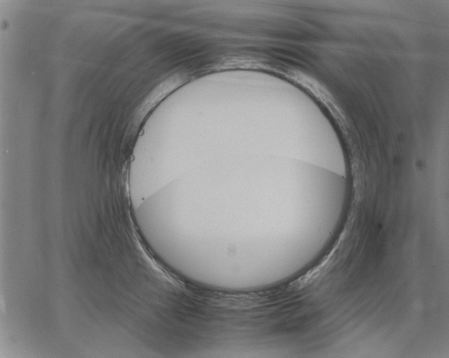 X0000066081241200604071724