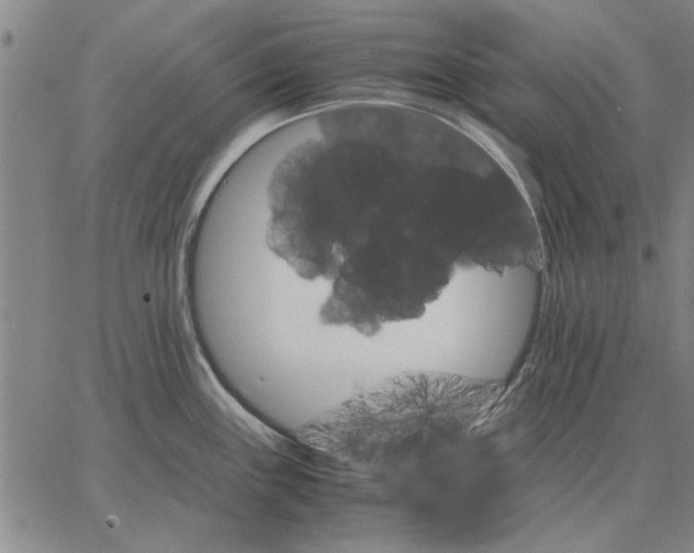 X0000066081243200604071724