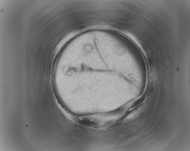 X0000066081245200604071724