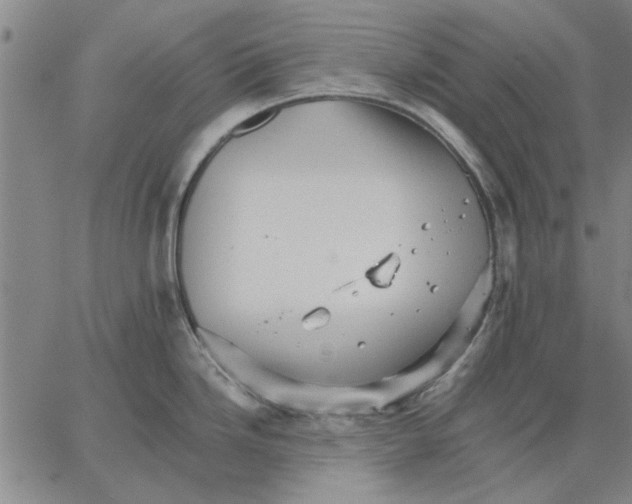 X0000066081246200604071724