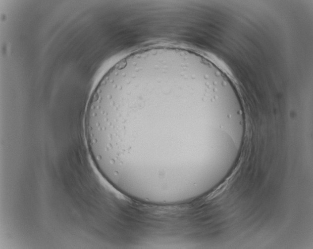 X0000066081247200604071724