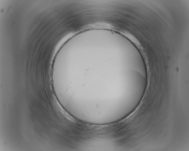 X0000066081248200604071724