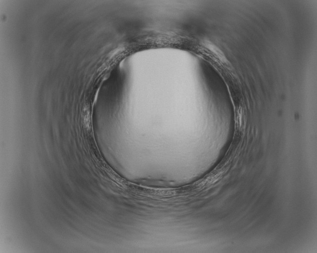 X0000066081251200604071723