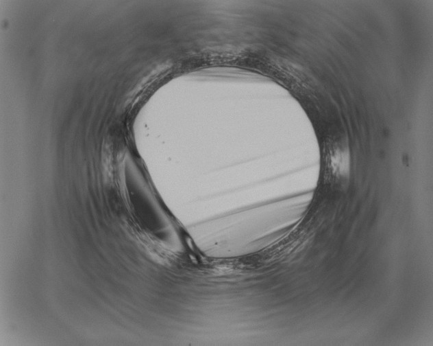 X0000066081252200604071723