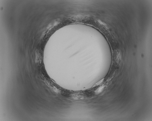 X0000066081253200604071723