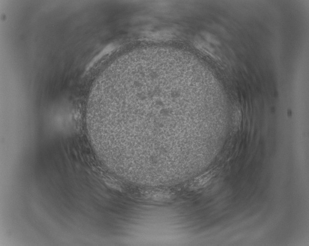 X0000066081254200604071723