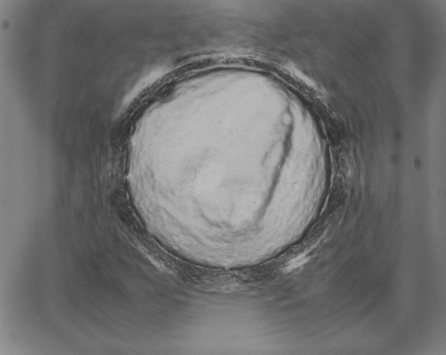 X0000066081255200604071723