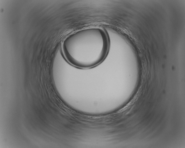 X0000066081257200604071723