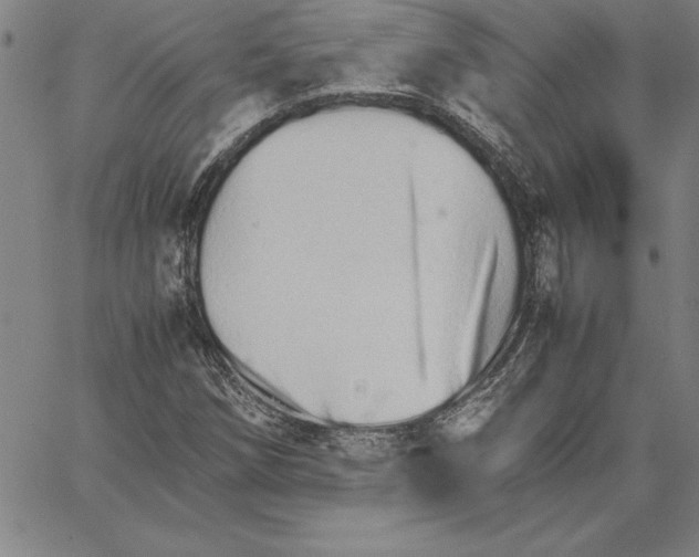 X0000066081258200604071723