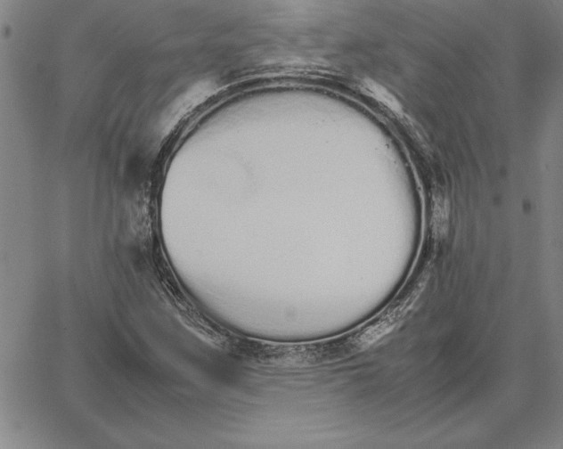 X0000066081259200604071723