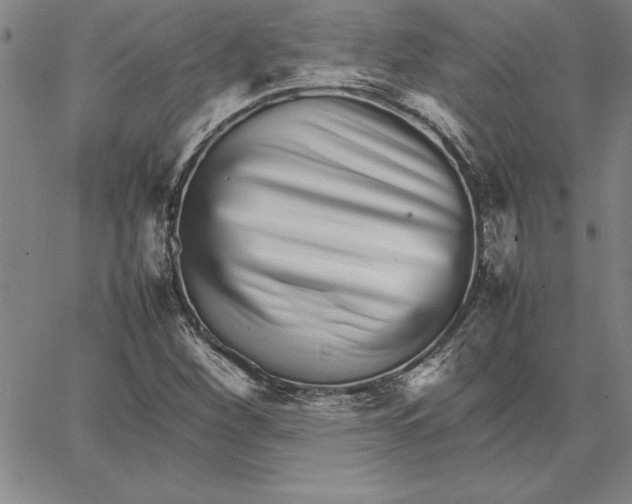 X0000066081260200604071723