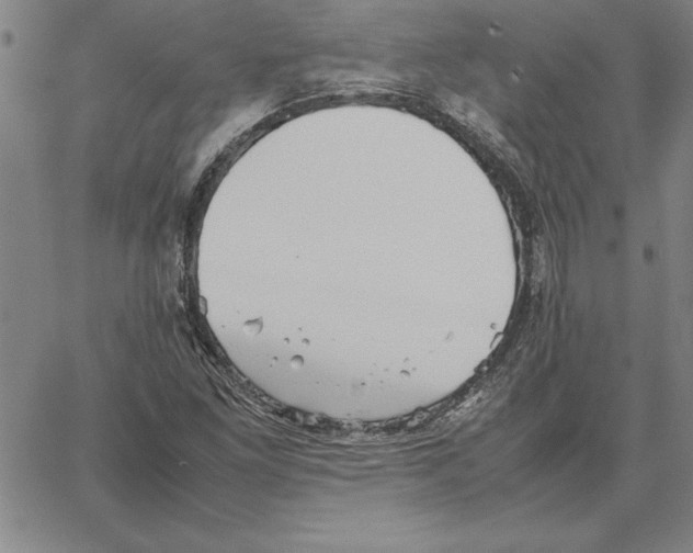 X0000066081261200604071723