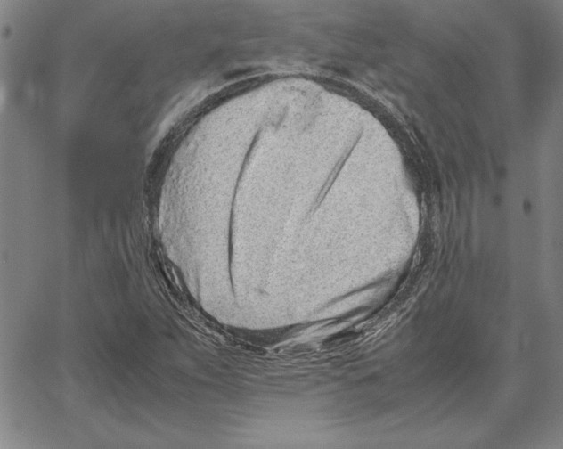 X0000066081263200604071723