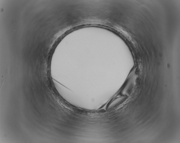 X0000066081264200604071723