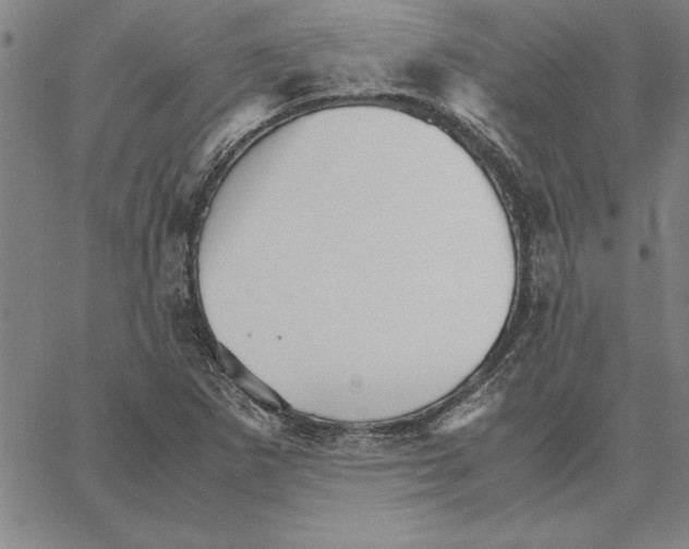 X0000066081265200604071723