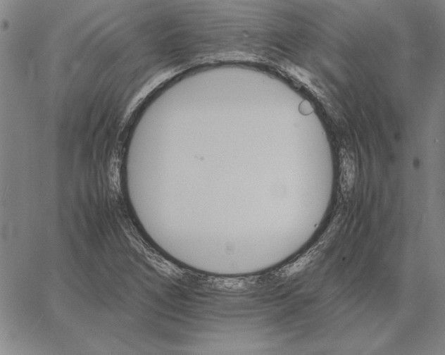 X0000066081266200604071723