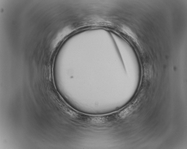 X0000066081267200604071723