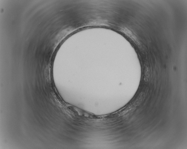 X0000066081268200604071723