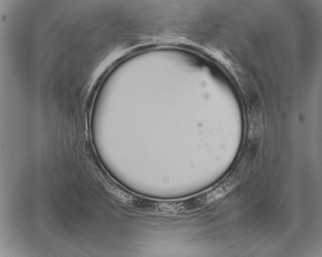 X0000066081271200604071723