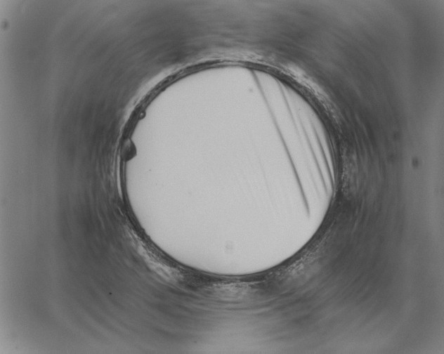 X0000066081272200604071723