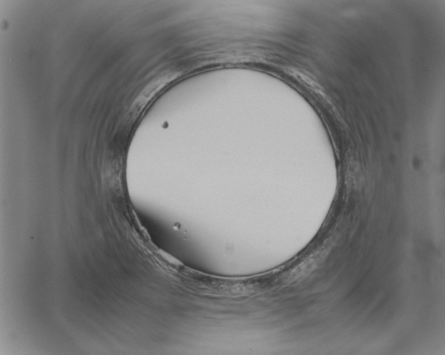 X0000066081273200604071723