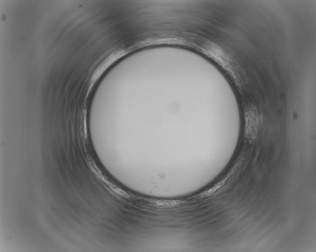 X0000066081274200604071723