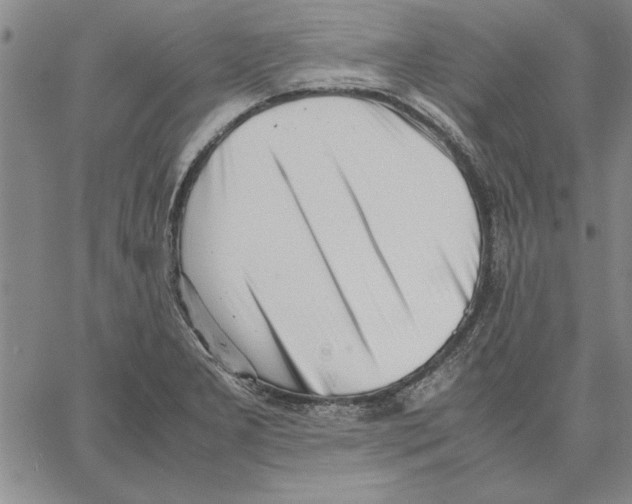 X0000066081277200604071723