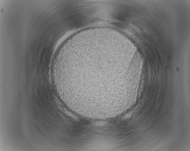 X0000066081278200604071723