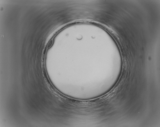 X0000066081279200604071723